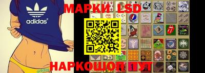 шишки Апшеронск