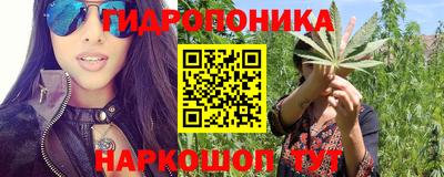 шишки Апшеронск