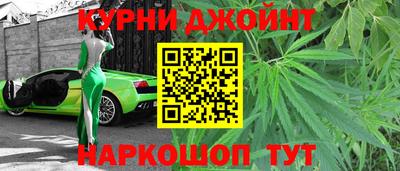 крисы Аргун