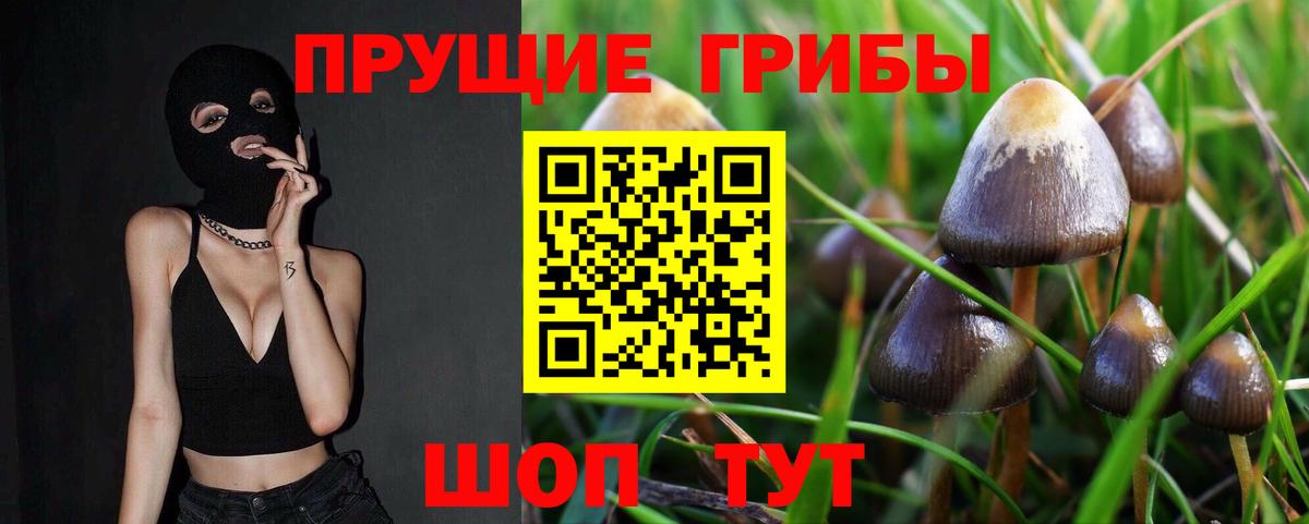 Галлюциногенные грибы Psilocybe  Вход с VPN  Апрелевка 