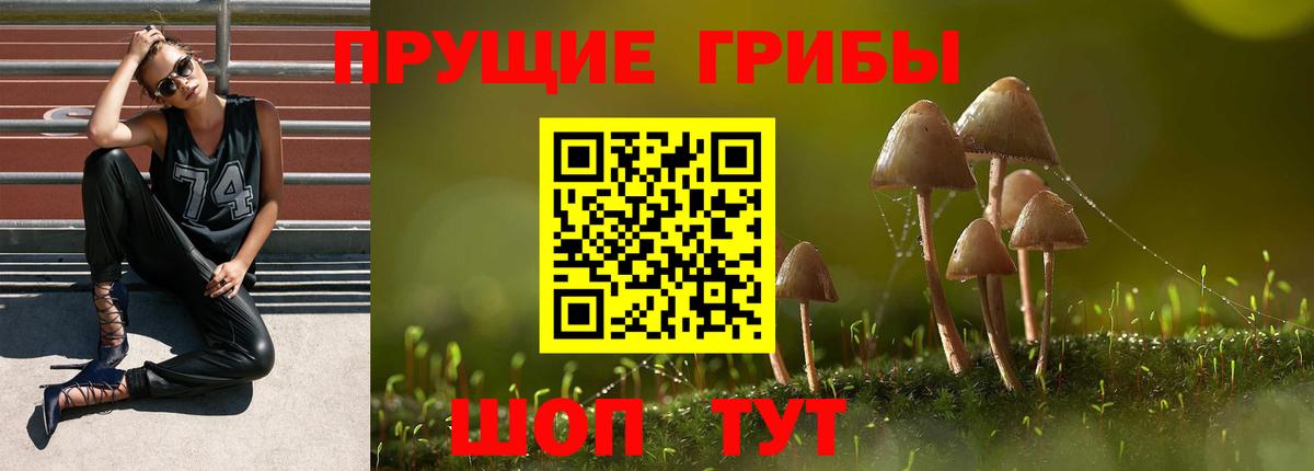 Галлюциногенные грибы мицелий Апрелевка